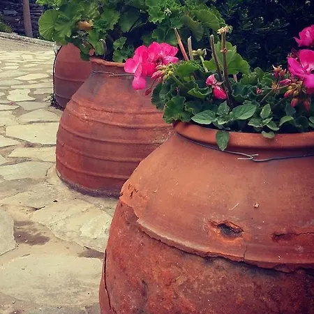 Ξενοδοχείο με διαμερίσματα 9 μούσες 3*