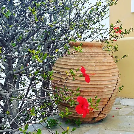 9 Muses Hotel apartamentowy