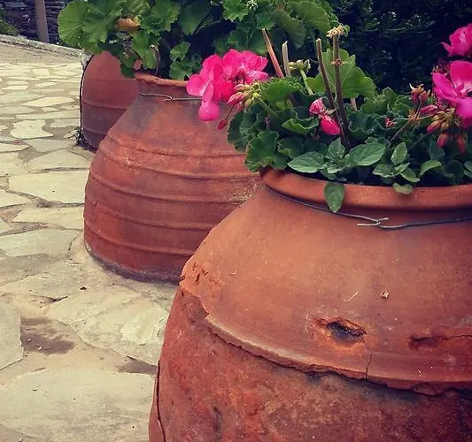 Aparthotel 9 Muses 3*